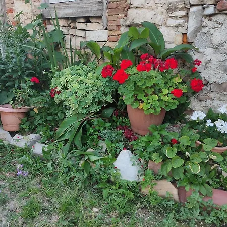 Apartman Enjoy Summer