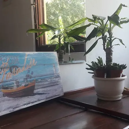 Apartment Enjoy Summer Pula